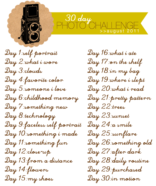 2011photochallenge