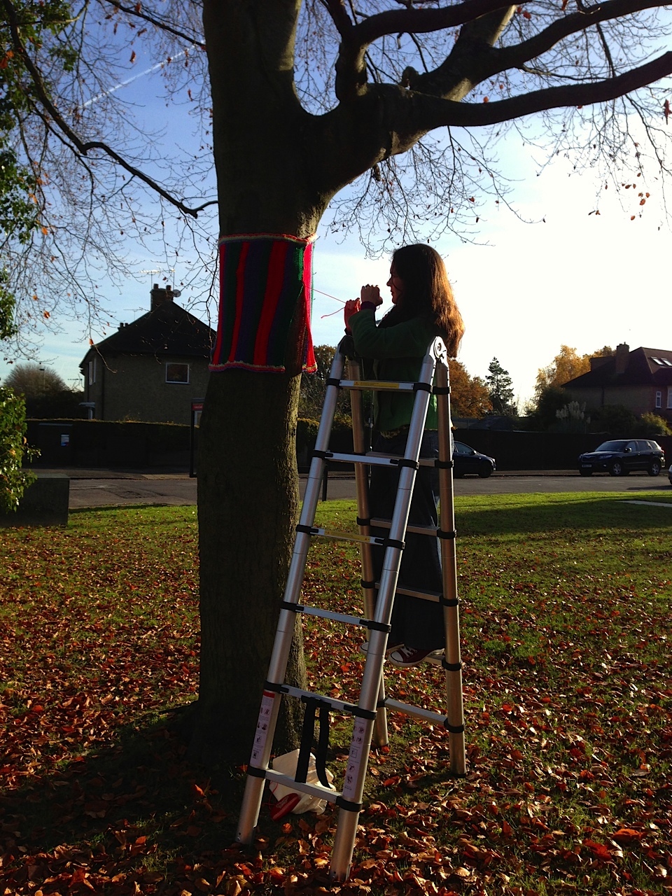 tree-yarnbomb.jpg