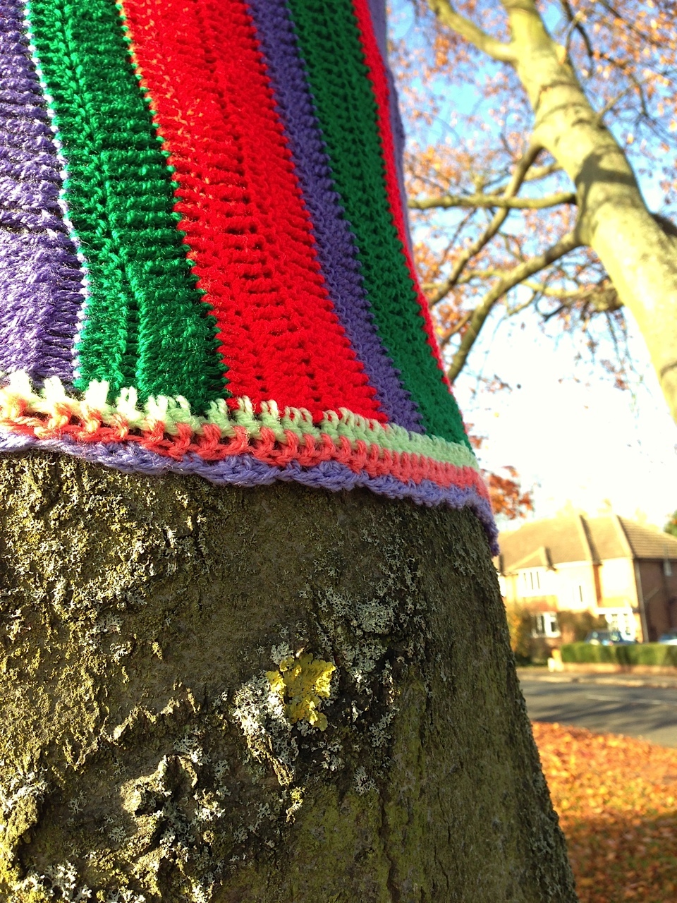 tree-yarnbomb.jpg