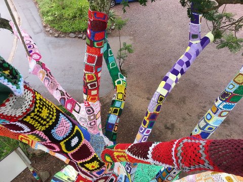 Hillcrest aids centre yarnbomb tree