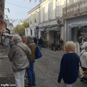 like moths to a flame like women to a yarn shop